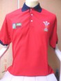 Polo Rugby Pais de Gales - Principal